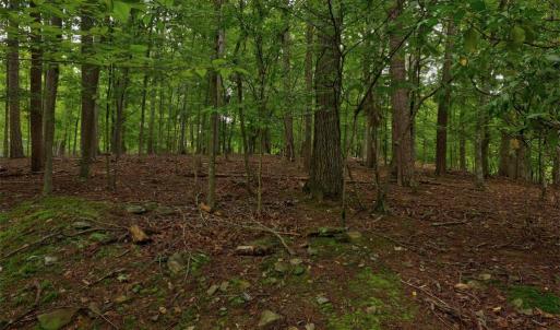 Photo #5 of JEFFERSON DR, PALMYRA, VA 0.5 acres