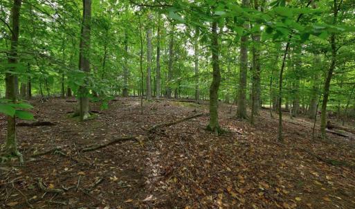 Photo #6 of JEFFERSON DR, PALMYRA, VA 0.5 acres