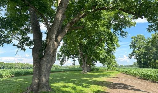 Photo #1 of Lot A Pleasant Hope, Lumberton, NC 0.7 acres