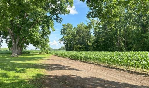 Photo #4 of Lot A Pleasant Hope, Lumberton, NC 0.7 acres