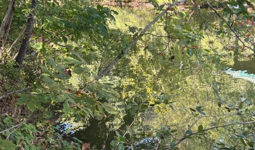 Photo #10 of 6028 LOST COVE DR, MINERAL, VA 2.5 acres