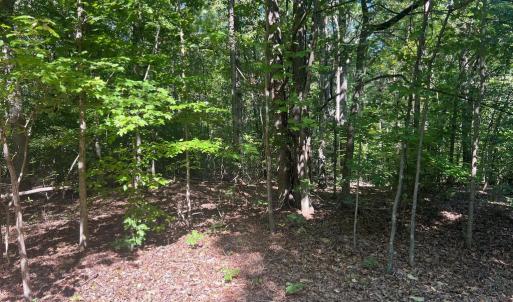 Photo #6 of 6028 LOST COVE DR, MINERAL, VA 2.5 acres