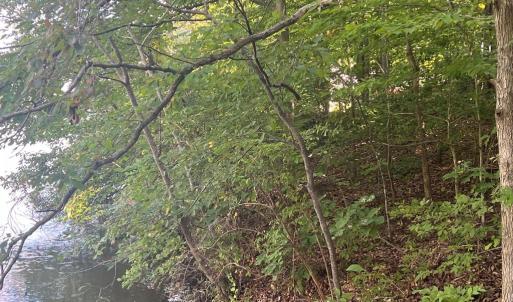 Photo #8 of 6028 LOST COVE DR, MINERAL, VA 2.5 acres