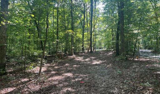 Photo #9 of 6028 LOST COVE DR, MINERAL, VA 2.5 acres