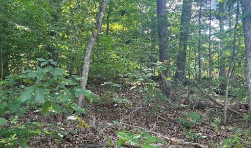 Photo #11 of 6028 LOST COVE DR, MINERAL, VA 2.5 acres