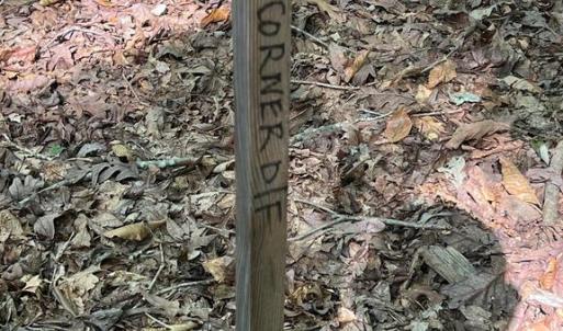 Photo #12 of 6028 LOST COVE DR, MINERAL, VA 2.5 acres