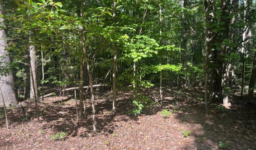 Photo #12 of 6028 LOST COVE DR, MINERAL, VA 2.5 acres