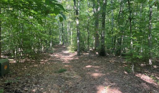 Photo #14 of 6028 LOST COVE DR, MINERAL, VA 2.5 acres