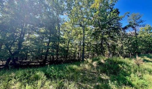 Photo #3 of CARDINAL DR., LURAY, VA 3.0 acres