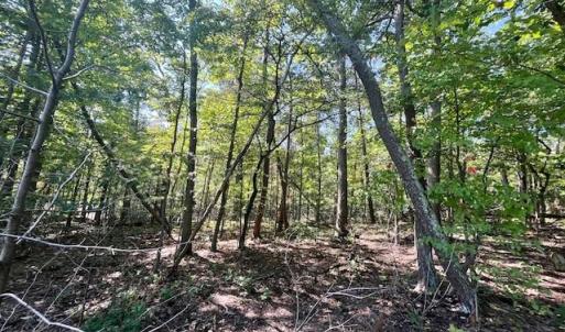 Photo #1 of CARDINAL DR., LURAY, VA 3.0 acres