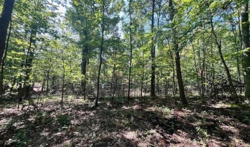 Photo #4 of CARDINAL DR., LURAY, VA 3.0 acres