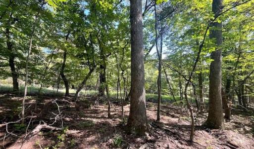 Photo #2 of CARDINAL DR., LURAY, VA 3.0 acres