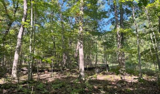 Photo #5 of CARDINAL DR., LURAY, VA 3.0 acres