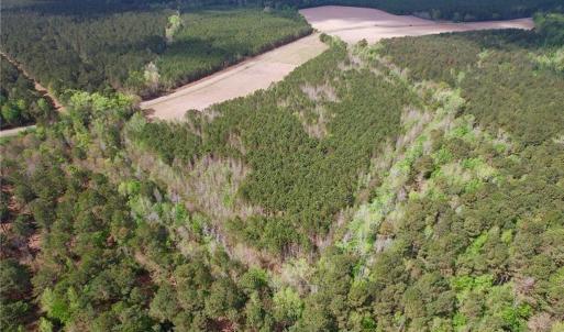 Photo #4 of 3331 Bogie Island, Fayetteville, NC 28.1 acres