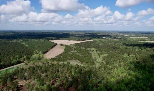 Photo #6 of 3331 Bogie Island, Fayetteville, NC 28.1 acres
