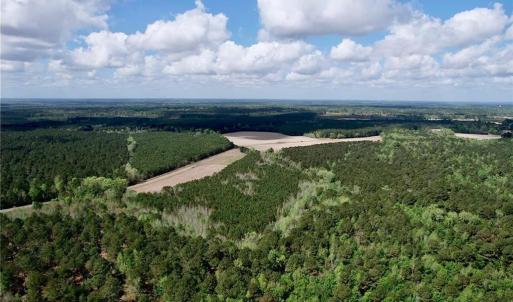 Photo #5 of 3331 Bogie Island, Fayetteville, NC 28.1 acres