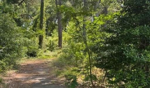 Photo #9 of 5017 Yadkin, Fayetteville, NC 3.7 acres