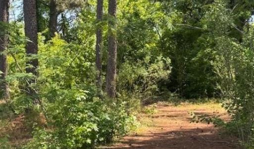 Photo #12 of 5017 Yadkin, Fayetteville, NC 3.7 acres