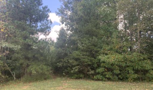 Photo #2 of 10325 LITCHFIELD DR, SPOTSYLVANIA, VA 0.9 acres