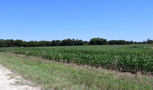 Photo #8 of Sand Rock, Fairmont, NC 27.0 acres