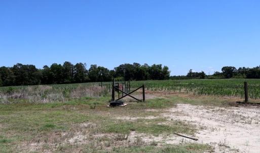 Photo #15 of Sand Rock, Fairmont, NC 27.0 acres