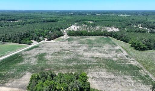 Photo #4 of Sand Rock, Fairmont, NC 27.0 acres