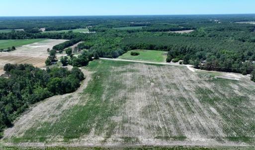 Photo #5 of Sand Rock, Fairmont, NC 27.0 acres