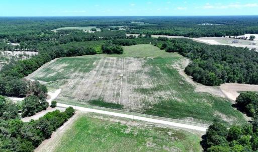 Photo #3 of Sand Rock, Fairmont, NC 27.0 acres