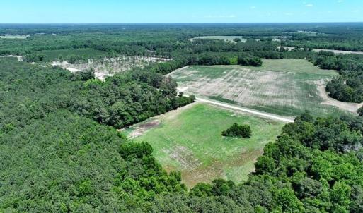Photo #2 of Sand Rock, Fairmont, NC 27.0 acres
