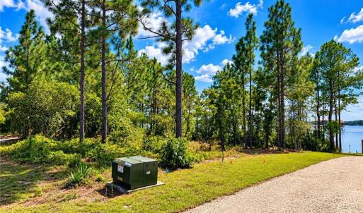 Photo #8 of Lot#510 Horsepen, Harrells, NC 0.4 acres