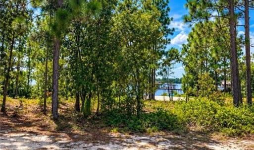 Photo #7 of Lot#510 Horsepen, Harrells, NC 0.4 acres
