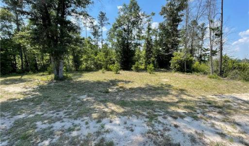 Photo #27 of 8511 NC 210, Garland, NC 160.0 acres