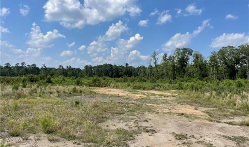 Photo #23 of 8511 NC 210, Garland, NC 160.0 acres
