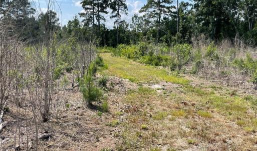 Photo #22 of 8511 NC 210, Garland, NC 160.0 acres