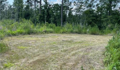 Photo #21 of 8511 NC 210, Garland, NC 160.0 acres