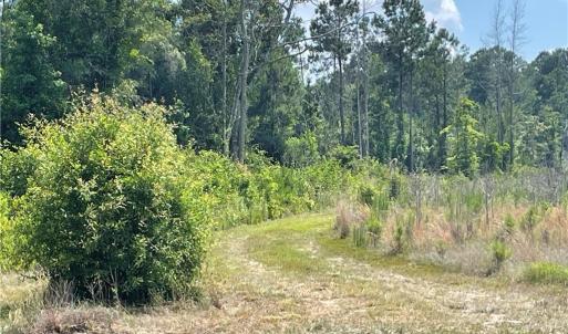 Photo #13 of 8511 NC 210, Garland, NC 160.0 acres