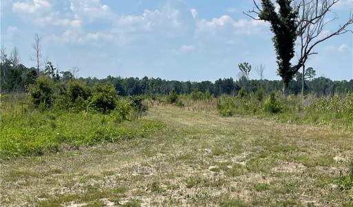 Photo #12 of 8511 NC 210, Garland, NC 160.0 acres