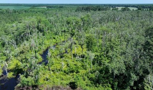 Photo #3 of Yarborough, Parkton, NC 35.0 acres