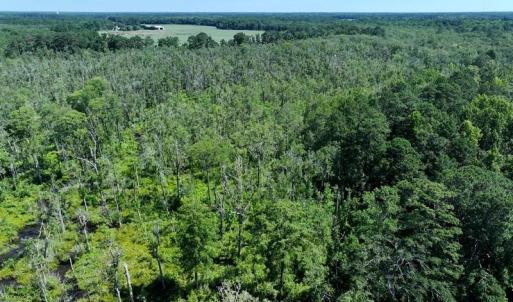 Photo #4 of Yarborough, Parkton, NC 35.0 acres