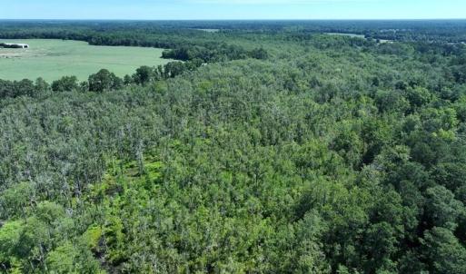 Photo #5 of Yarborough, Parkton, NC 35.0 acres