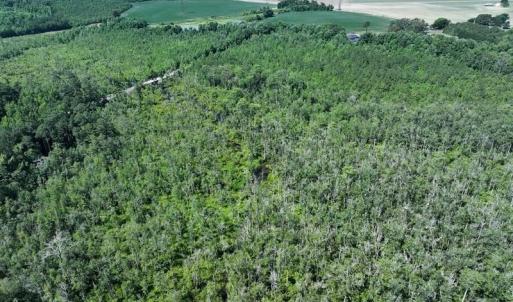 Photo #7 of Yarborough, Parkton, NC 35.0 acres