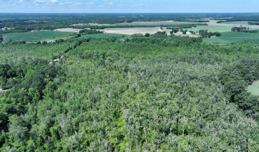 Photo #6 of Yarborough, Parkton, NC 35.0 acres