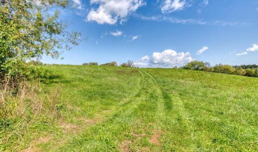 Photo #10 of OAK PARK RD, LOCUST DALE, VA 21.9 acres