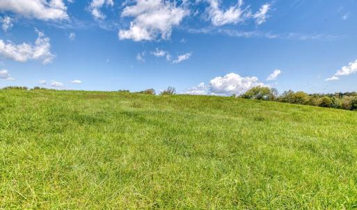 Photo #11 of OAK PARK RD, LOCUST DALE, VA 21.9 acres