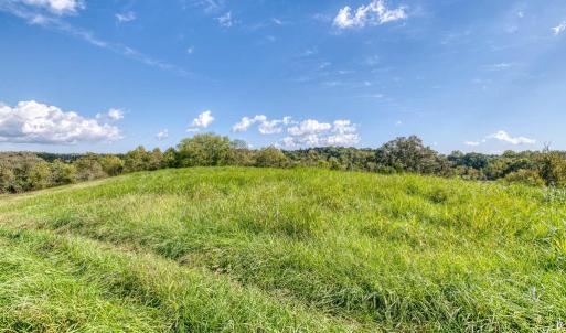 Photo #12 of OAK PARK RD, LOCUST DALE, VA 21.9 acres