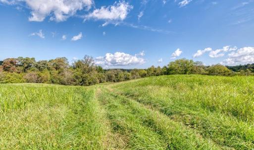 Photo #13 of OAK PARK RD, LOCUST DALE, VA 21.9 acres