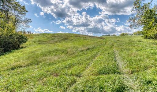 Photo #14 of OAK PARK RD, LOCUST DALE, VA 21.9 acres