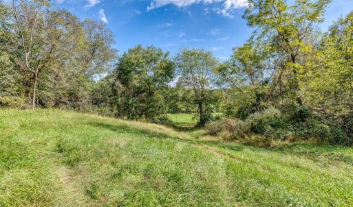 Photo #15 of OAK PARK RD, LOCUST DALE, VA 21.9 acres