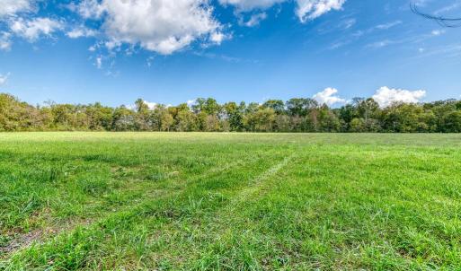 Photo #18 of OAK PARK RD, LOCUST DALE, VA 21.9 acres