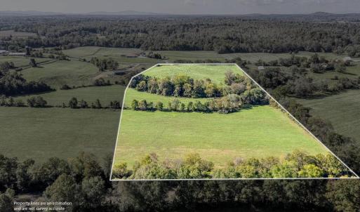 Photo #29 of OAK PARK RD, LOCUST DALE, VA 21.9 acres